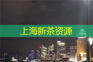 上海花千坊：思考者的夜晚：反思与自省